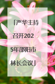 严华主持召开2025年邵阳市林长会议